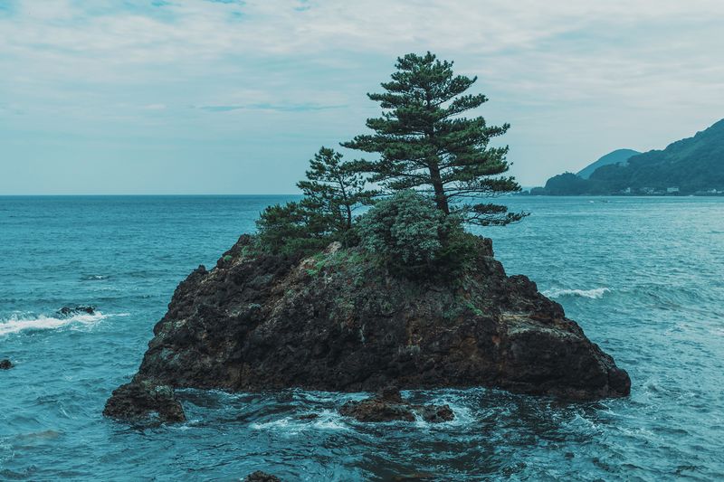 File:Rocky island with tree.jpg