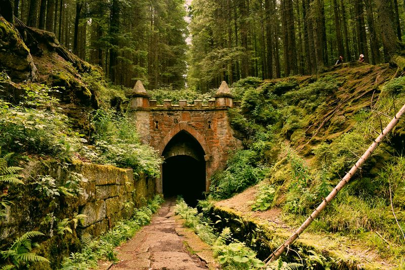 File:Forest tunnel.jpg