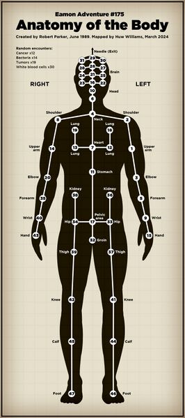 File:Anatomy of the Body map.jpg